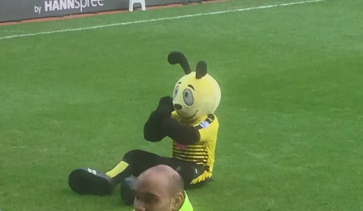 Harry the Hornet, linh vật 'nhắng nhít' của Watford FC đang khuấy động sân Vicarage Road