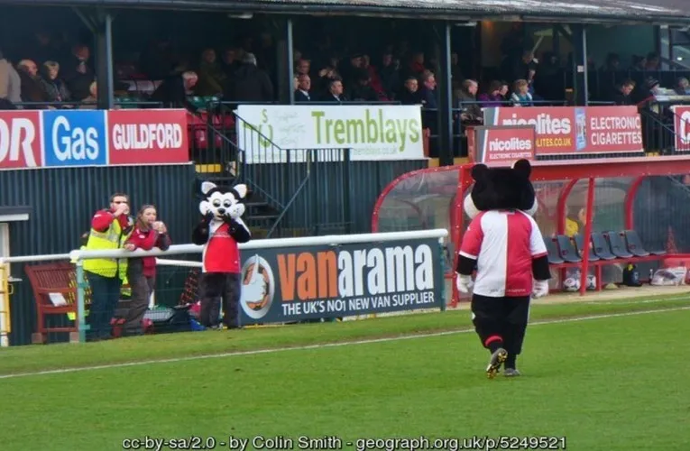 Linh vật K.C. Kat cùng các fan nhí Woking FC đầy nhiệt huyết tại Kingfield Stadium